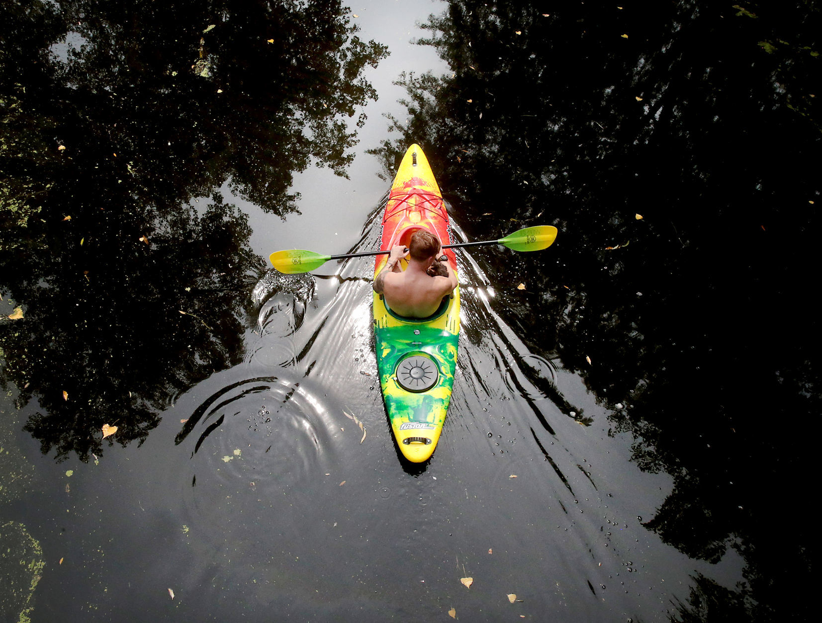 Paddling a swollen creek